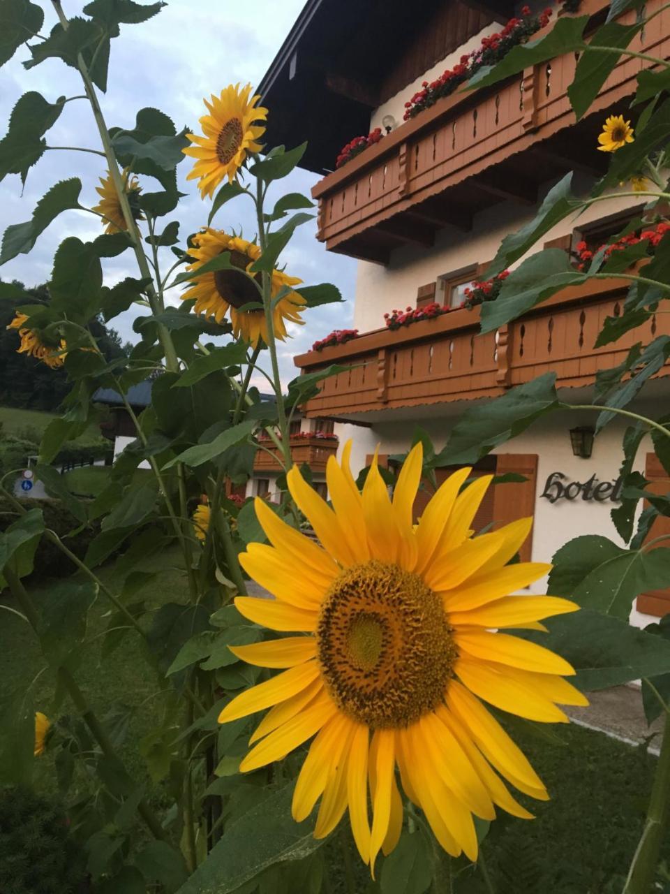 Alpenhotel Weiherbach Berchtesgaden Hallenbad Und Sauna المظهر الخارجي الصورة